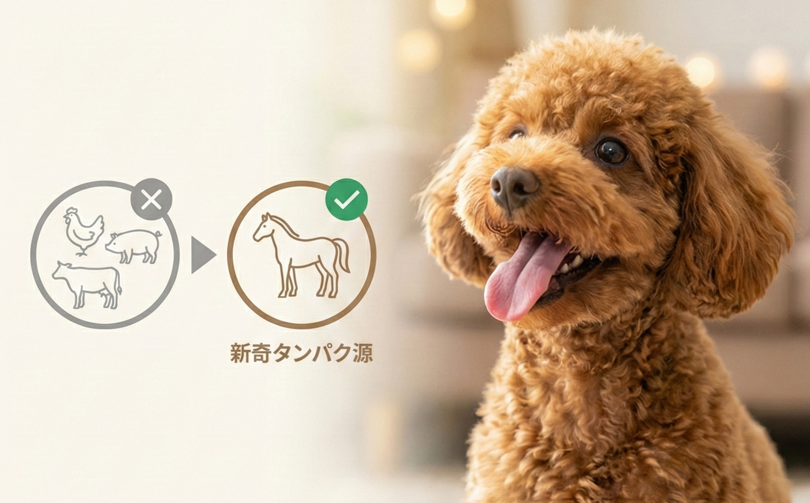 アレルギーに配慮